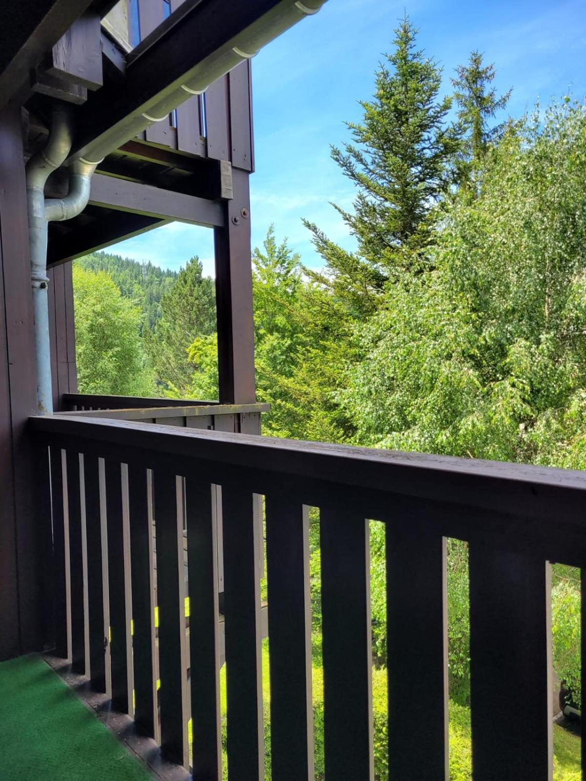 Chalets Du Village - Tily Home - Studio Centre Village Villard-de-Lans Ngoại thất bức ảnh